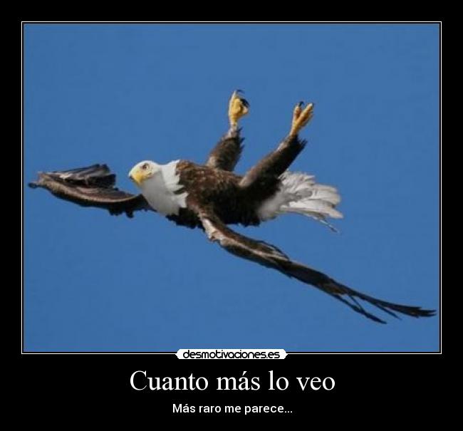 Cuanto más lo veo -