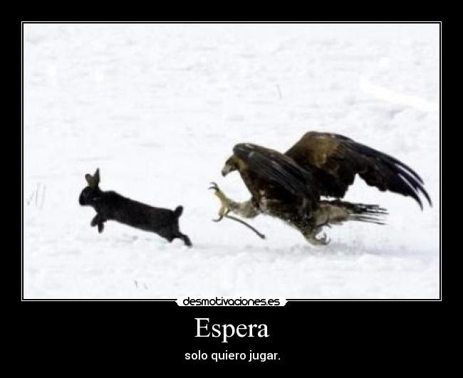 Espera -