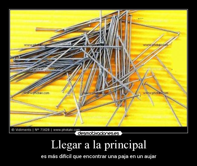 Llegar a la principal - es más difícil que encontrar una paja en un aujar