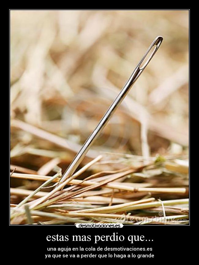 estas mas perdio que... - una aguja en la cola de desmotivaciones.es
ya que se va a perder que lo haga a lo grande