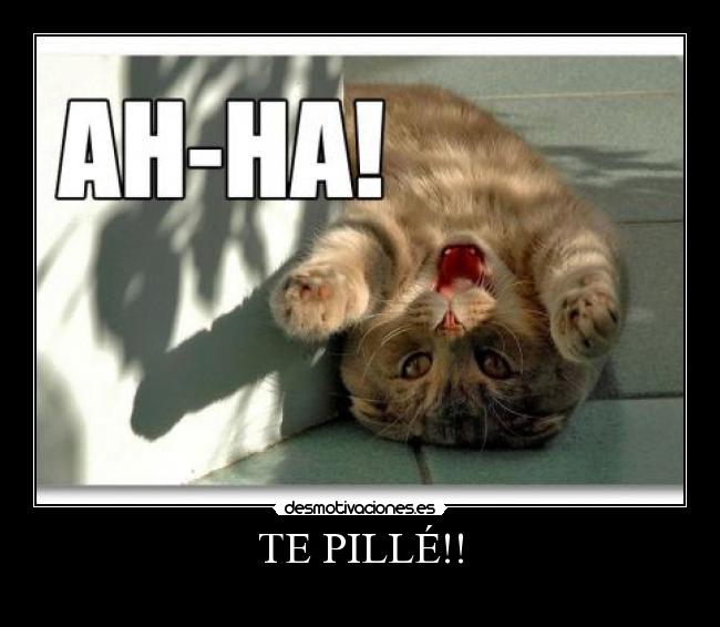 TE PILLÉ!! - 