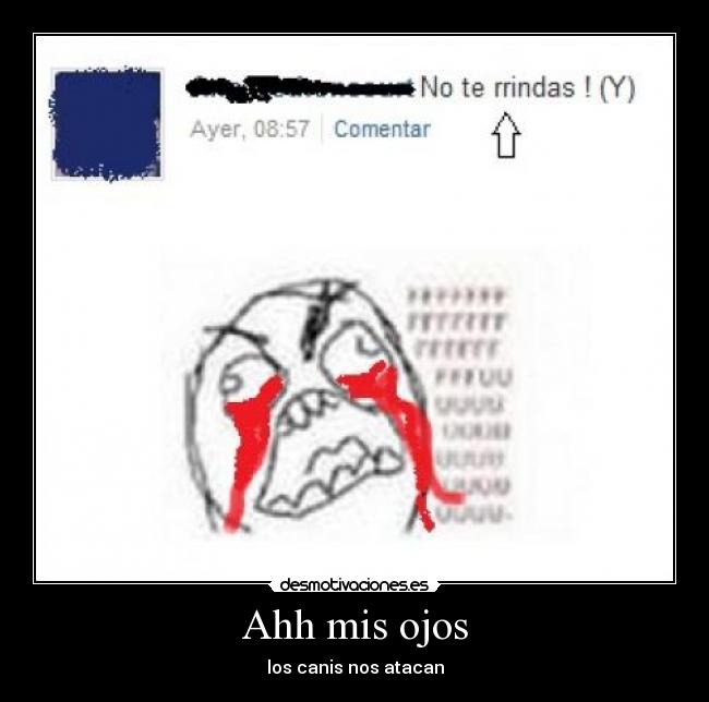 Ahh mis ojos - los canis nos atacan