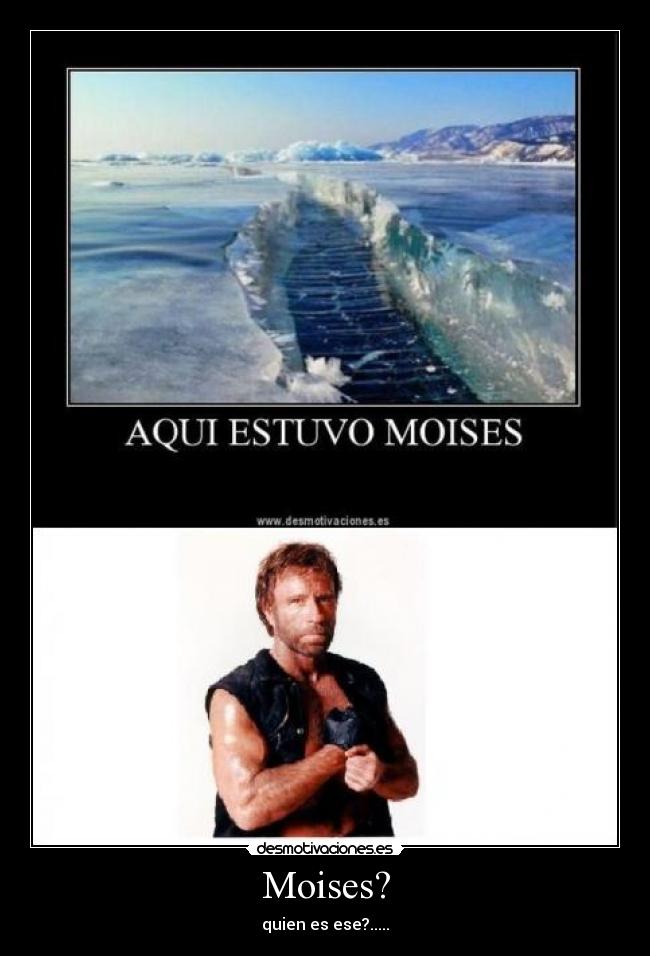 carteles chuck desmotivaciones