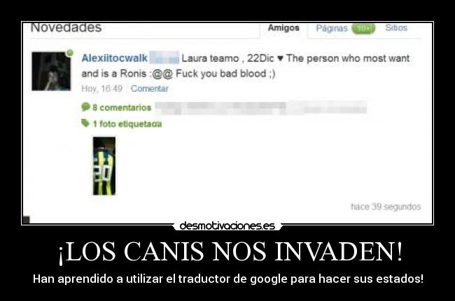 ¡LOS CANIS NOS INVADEN! - Han aprendido a utilizar el traductor de google para hacer sus estados!