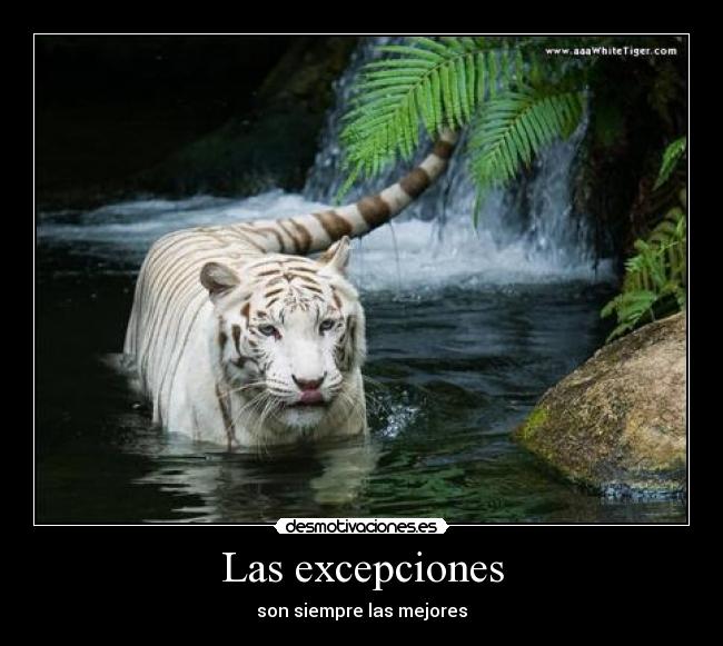 Las excepciones - son siempre las mejores