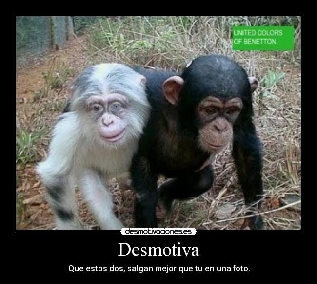 Desmotiva - Que estos dos, salgan mejor que tu en una foto.