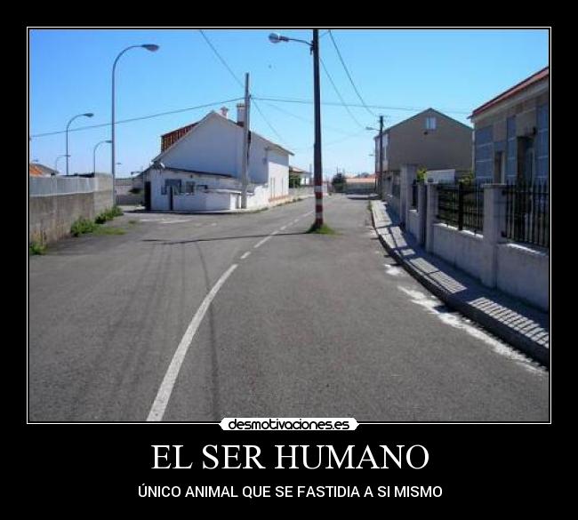 carteles ser humnano desmotivaciones