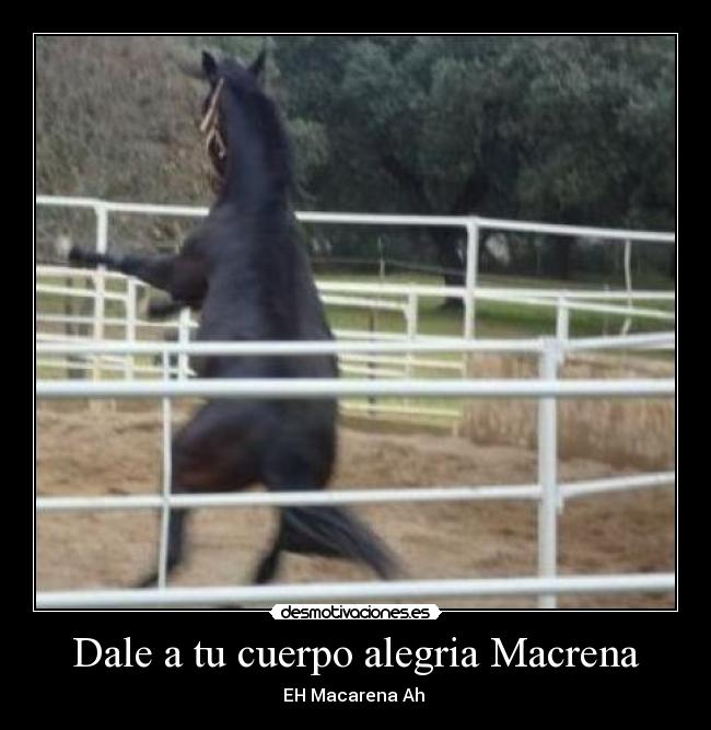 Dale a tu cuerpo alegria Macrena -