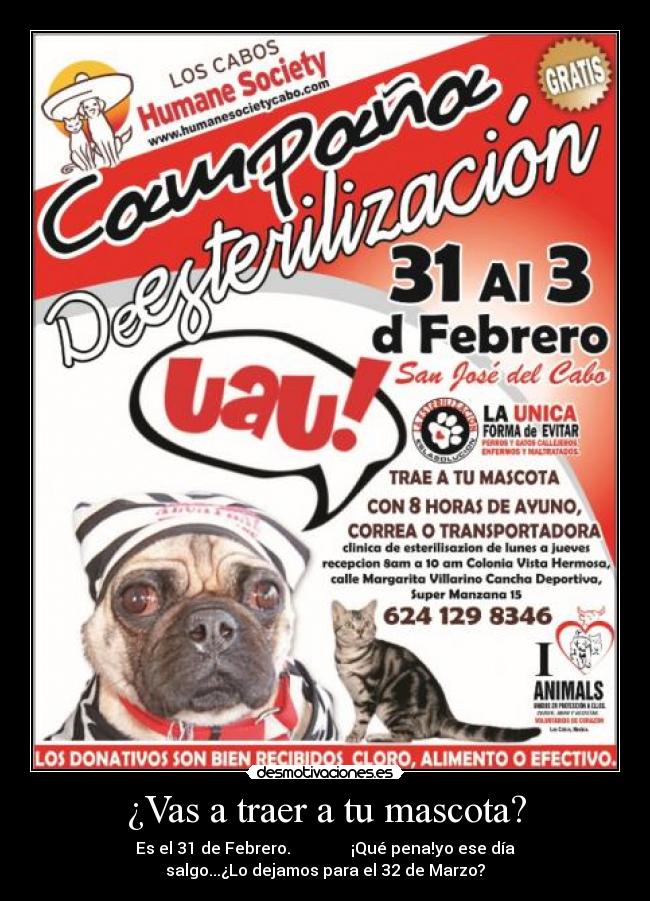 ¿Vas a traer a tu mascota? - Es el 31 de Febrero.               ¡Qué pena!yo ese día
salgo...¿Lo dejamos para el 32 de Marzo?