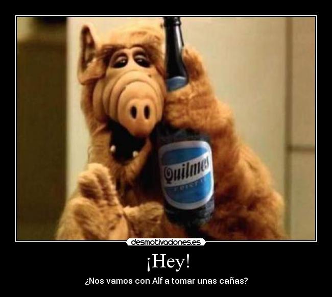 ¡Hey! - ¿Nos vamos con Alf a tomar unas cañas?