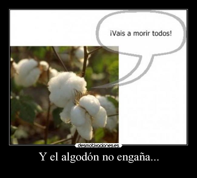 carteles algodon desmotivaciones