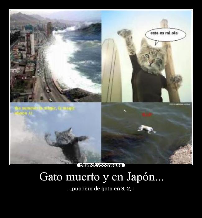 carteles comedia desmotivaciones