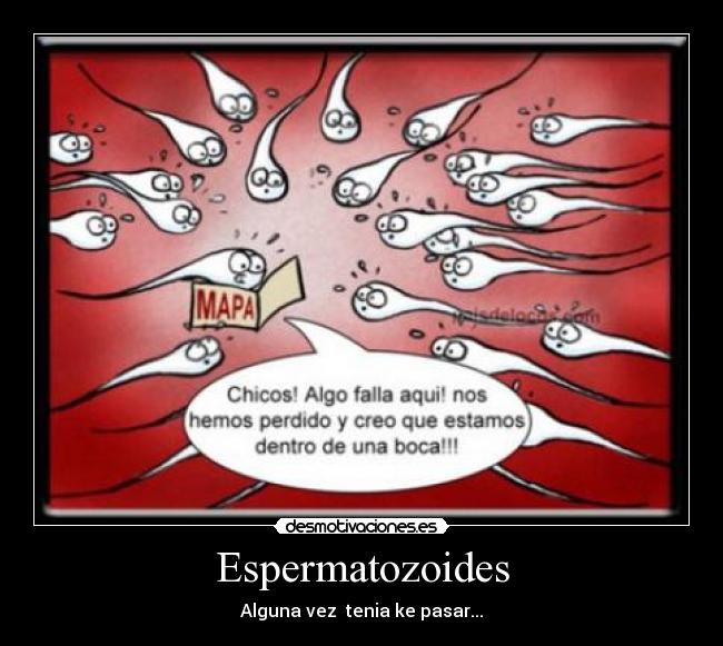Espermatozoides - Alguna vez tenia ke pasar...