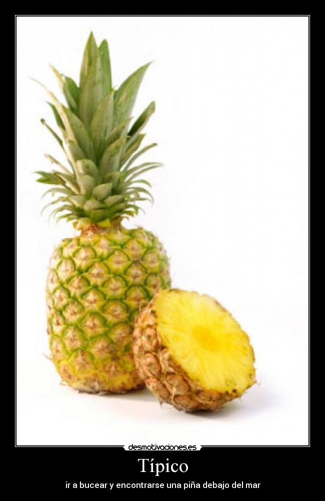 Típico - ir a bucear y encontrarse una piña debajo del mar