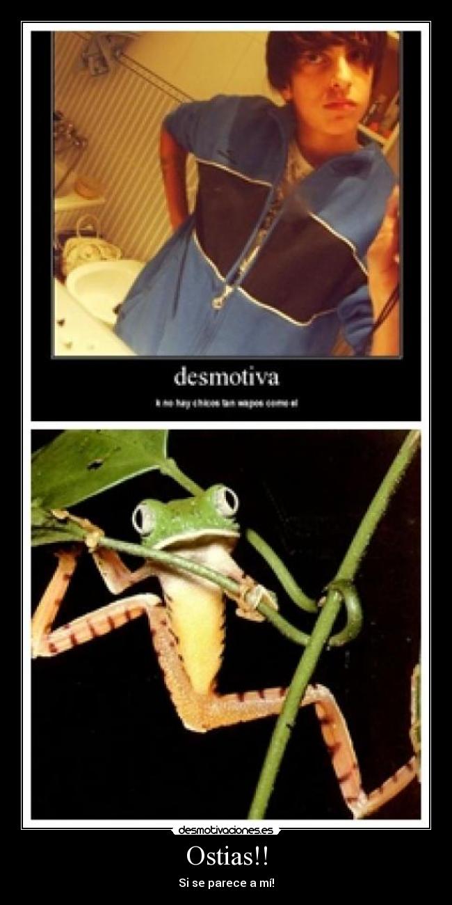 carteles ostias desmotivaciones