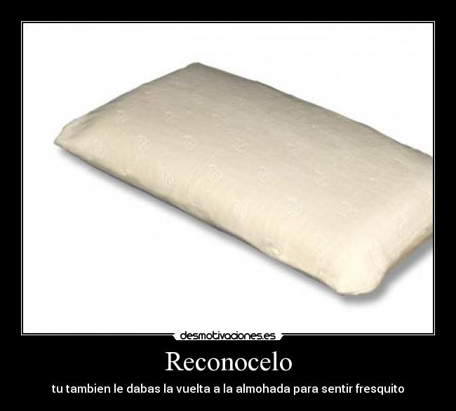 Reconocelo - tu tambien le dabas la vuelta a la almohada para sentir fresquito