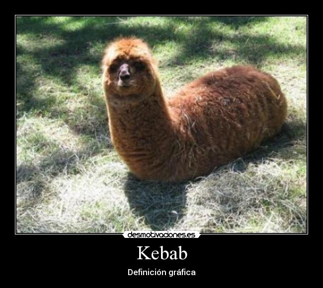 Kebab -