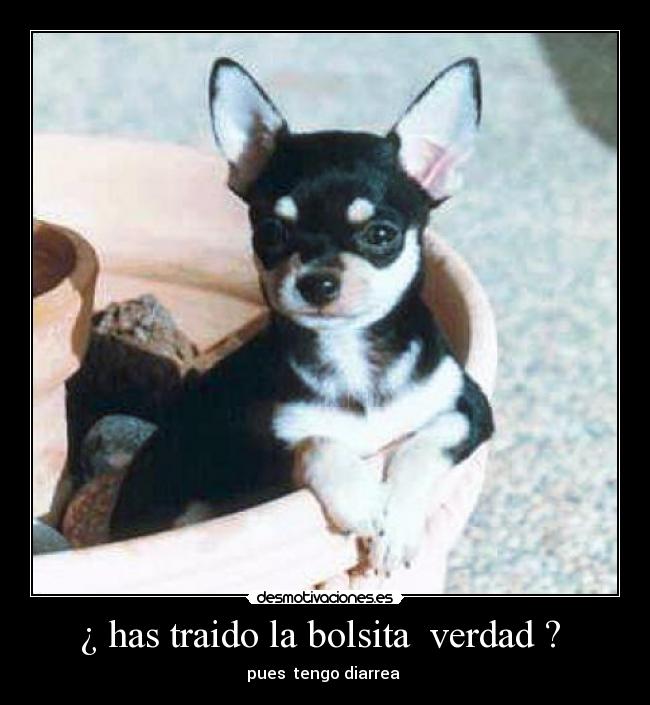 carteles vota buenomalo desmotivaciones