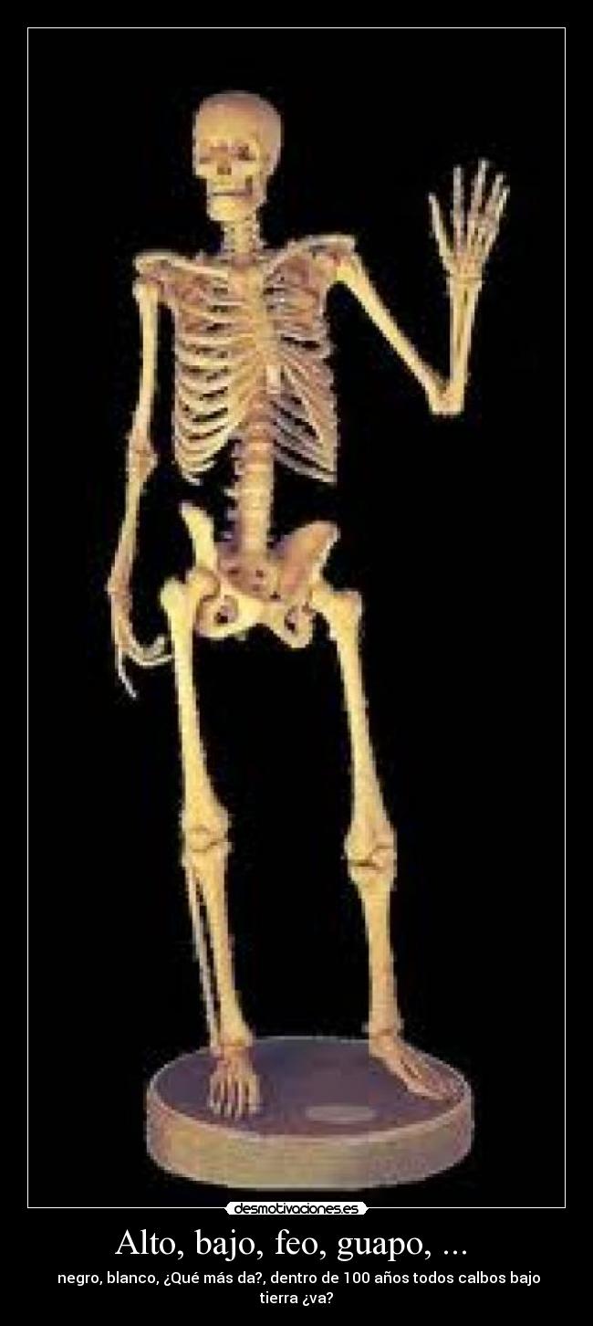 Alto, bajo, feo, guapo, ...  - 