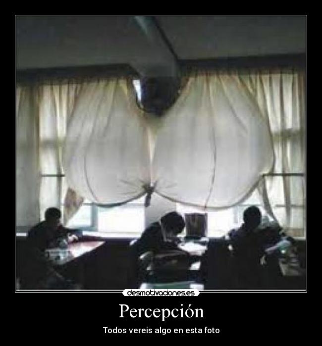 Percepción - Todos vereis algo en esta foto
