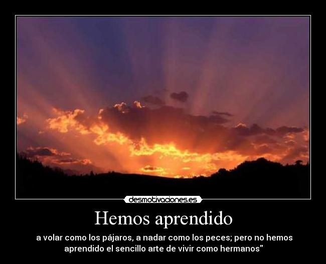 carteles aprendido desmotivaciones