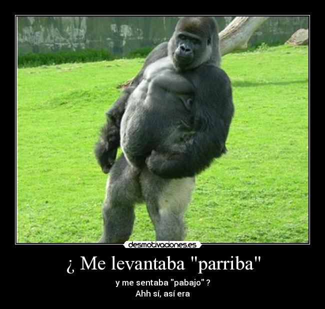 ¿ Me levantaba parriba - 