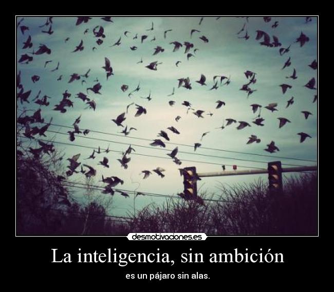 La inteligencia, sin ambición - es un pájaro sin alas.