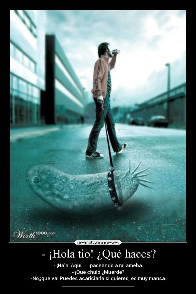 Imágenes y Carteles de AMEBA Desmotivaciones