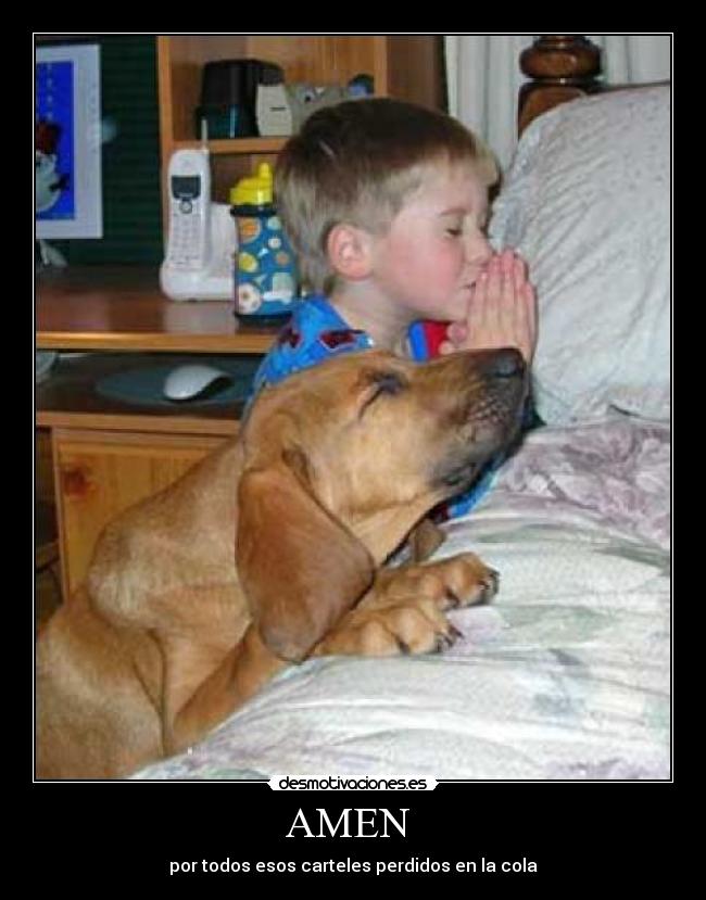 AMEN  - por todos esos carteles perdidos en la cola