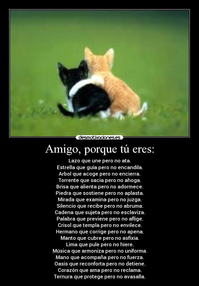 Amigo, porque tú eres: - 