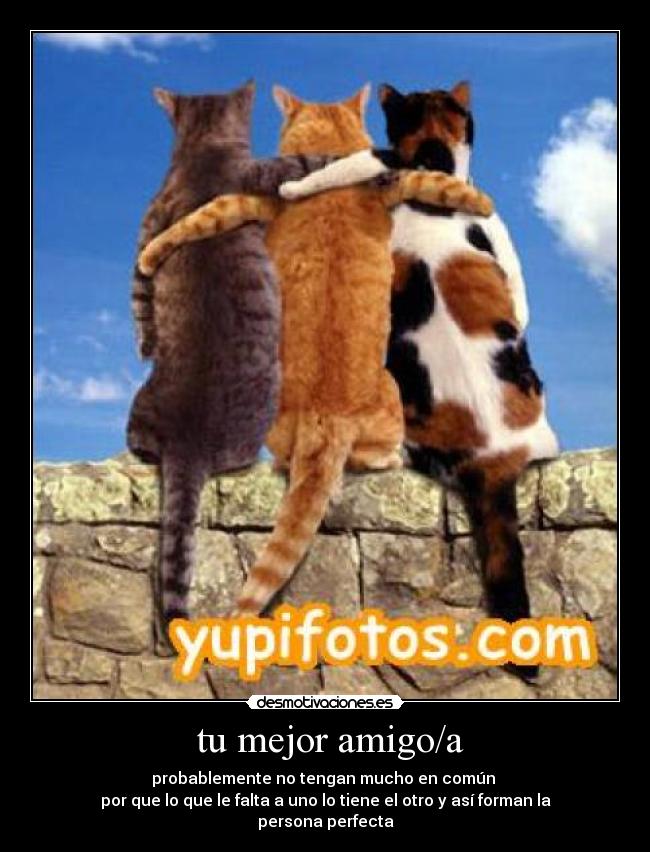  tu mejor amigo/a - 