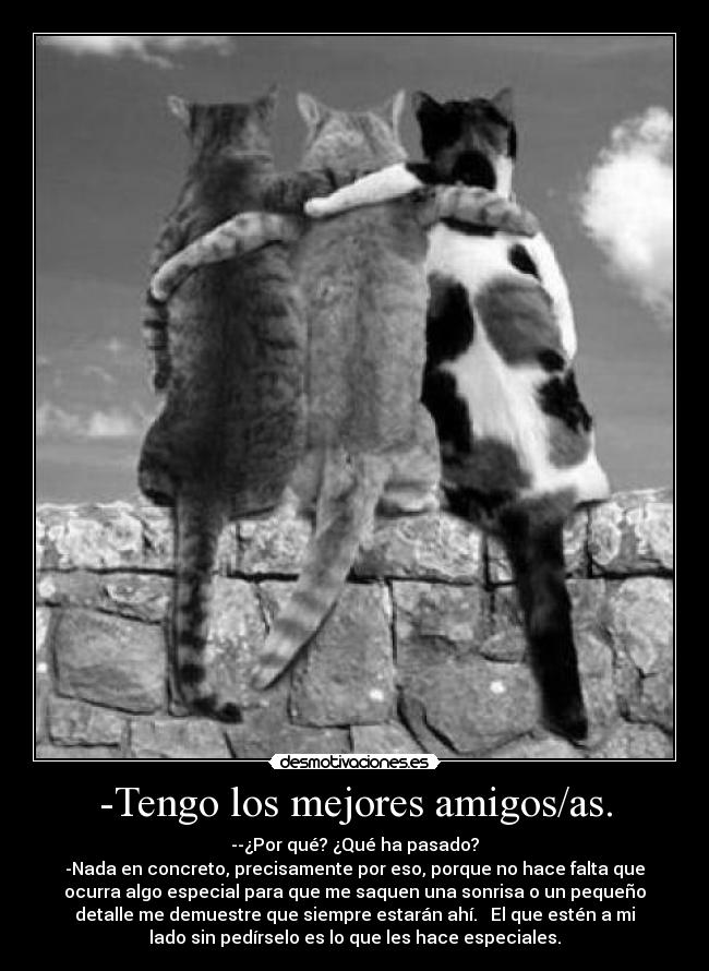 -Tengo los mejores amigos/as. - --¿Por qué? ¿Qué ha pasado?
-Nada en concreto, precisamente por eso, porque no hace falta que
ocurra algo especial para que me saquen una sonrisa o un pequeño
detalle me demuestre que siempre estarán ahí. El que estén a mi
lado sin pedírselo es lo que les hace especiales.