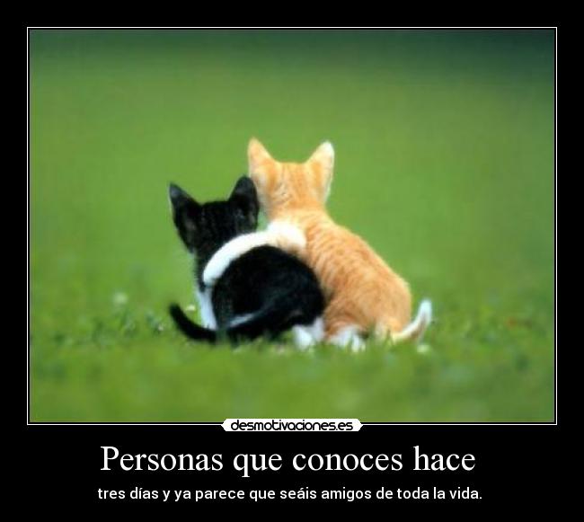 Personas que conoces hace -
