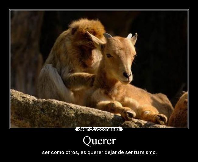 Querer - ser como otros, es querer dejar de ser tu mismo.