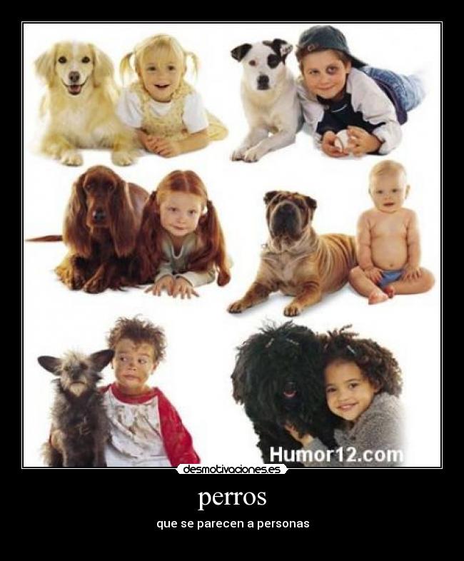 perros - que se parecen a personas