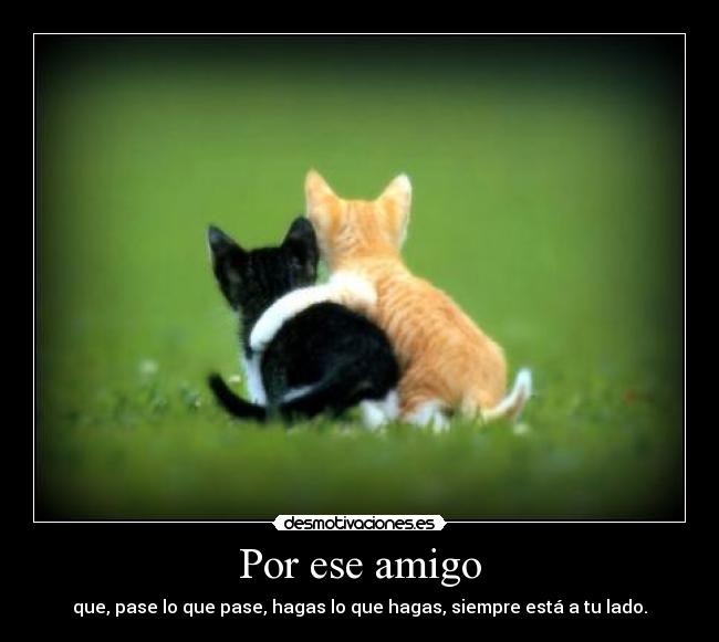 Por ese amigo - que, pase lo que pase, hagas lo que hagas, siempre está a tu lado.