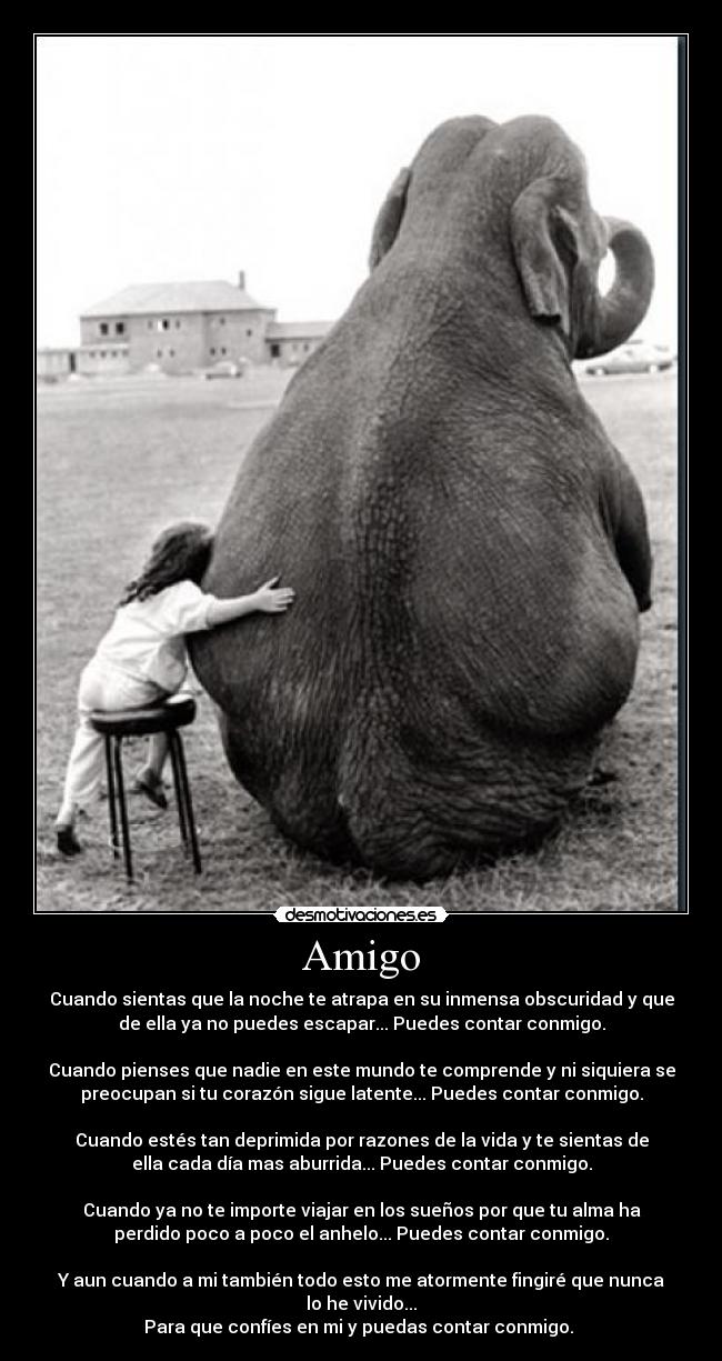 Amigo - 