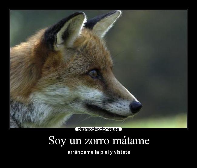 Soy un zorro mátame - arráncame la piel y vístete