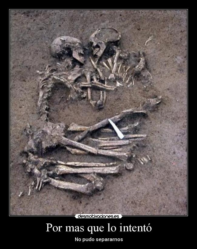 Por mas que lo intentó -