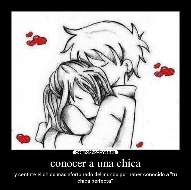 carteles chica perfecta amor kiero conocer chico desmotivaciones