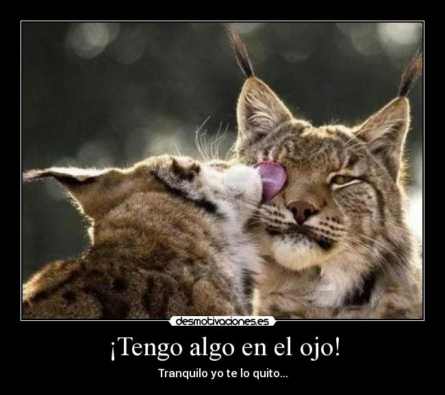 ¡Tengo algo en el ojo! - 