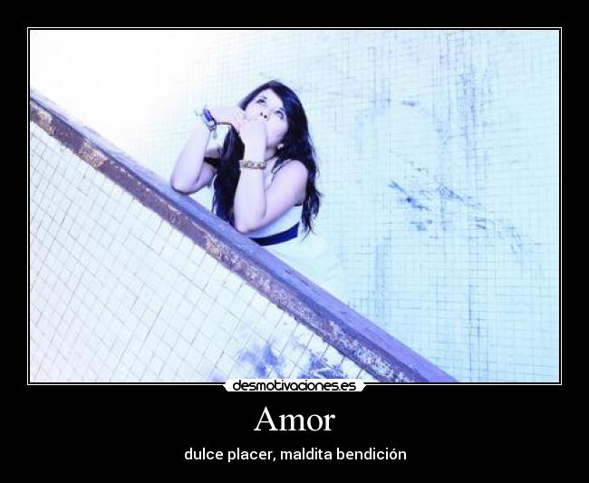 Amor - 