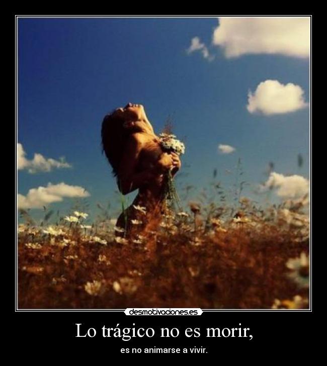 carteles vivir desmotivaciones