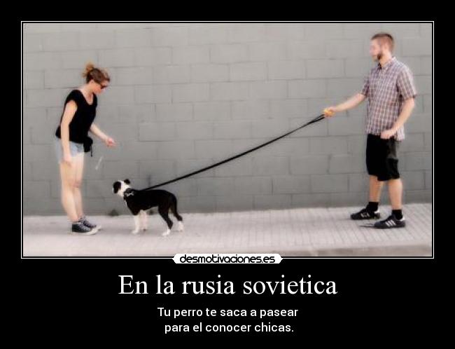 En la rusia sovietica - Tu perro te saca a pasear
para el conocer chicas.