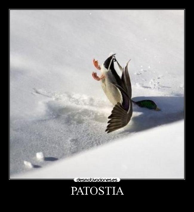 PATOSTIA -