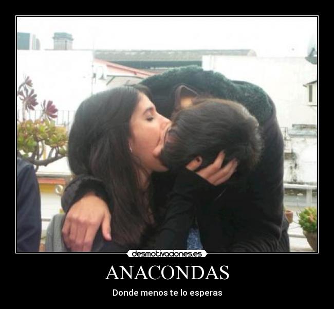 ANACONDAS -