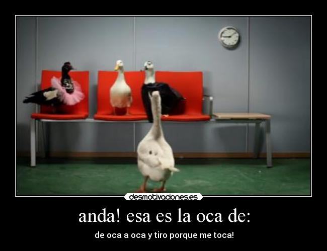 anda! esa es la oca de: - de oca a oca y tiro porque me toca!