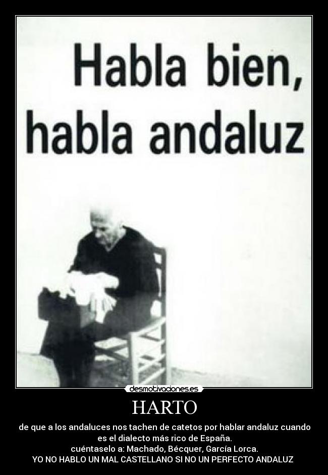 carteles andaluz desmotivaciones