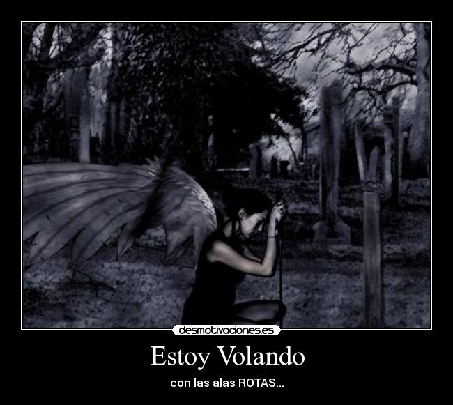 Estoy Volando -
