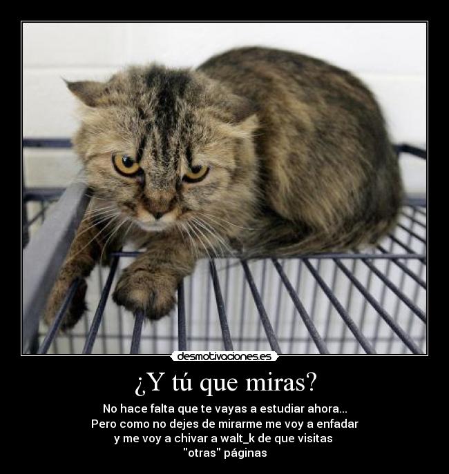 ¿Y tú que miras? - 